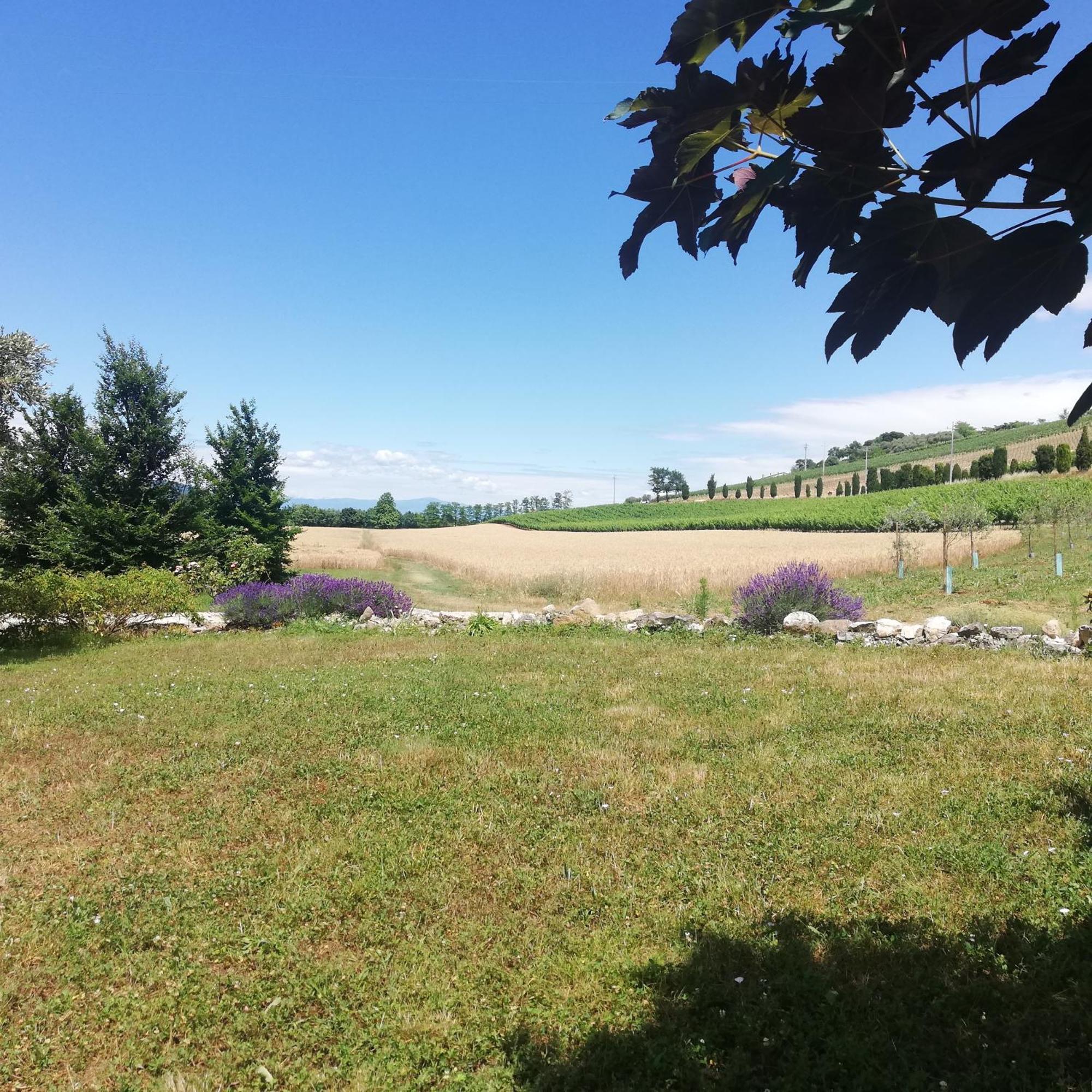 Corte Monticello Barbarano Vicentino Zewnętrze zdjęcie